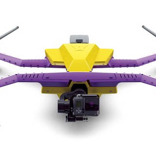 airdog-1