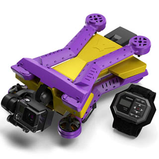 airdog-3