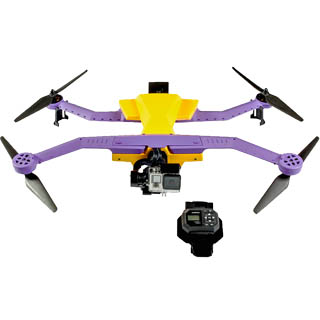 airdog-sport-action