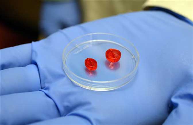 Scientists to 3D Print a Human Heart