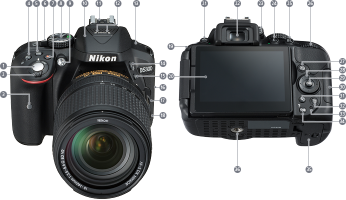 Nikon D5300 vs D5500 Camera Comparison