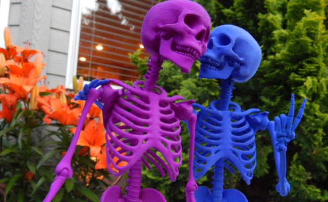 Articulated Skeleton Couple