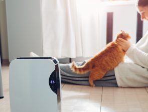 7 Best Smart Air Purifiers of 2019