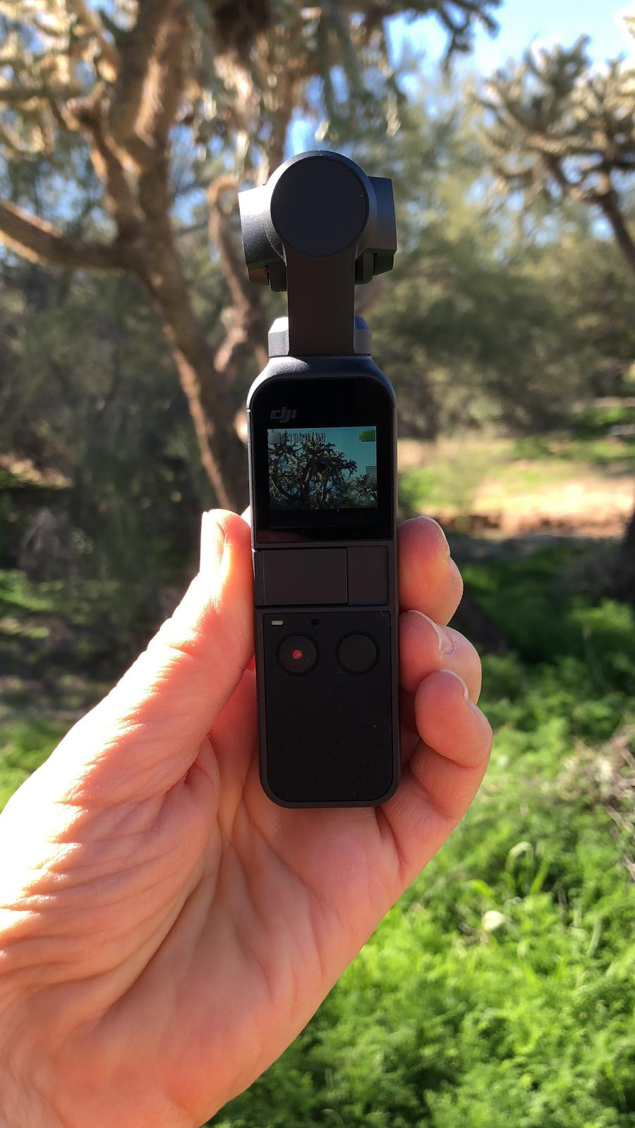 Hands-on Review Of The Brand New DJI Osmo Pocket - 3D Insider