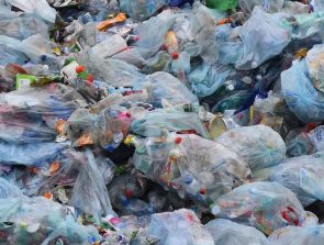 Can Plastic Bags Be Recycled?