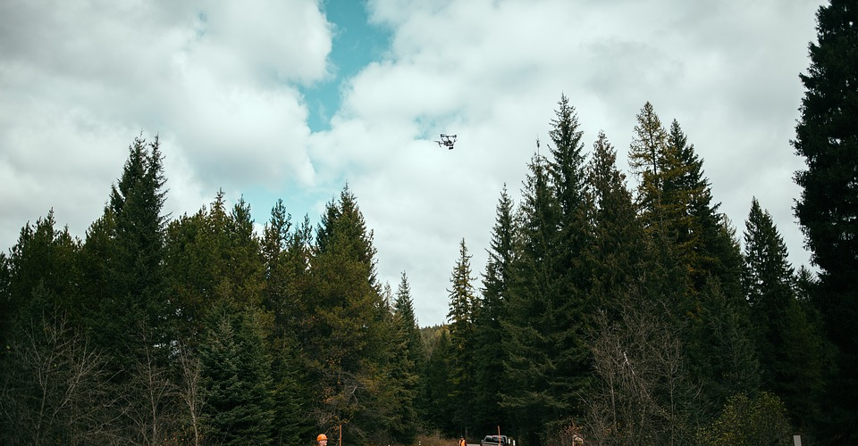 Can I Fly a Drone in a National Park?