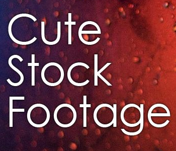 Cute Stock Footage