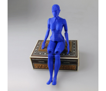 Articulated Human Figure