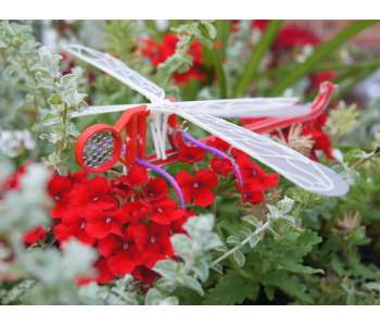 Dragonfly Flying Toy