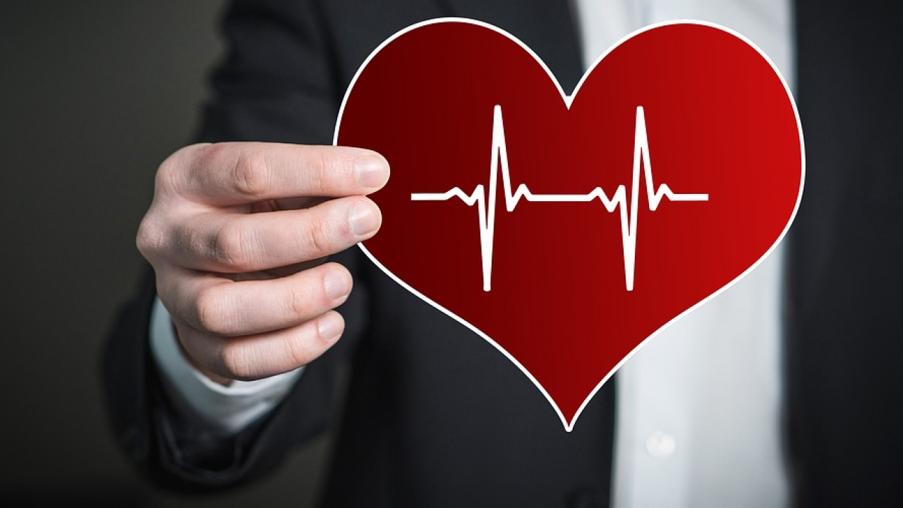 shanren beat 20 heart rate monitor