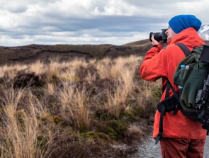 6 Best Cameras for Nature Photography of 2020