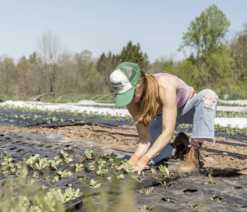 Farmers