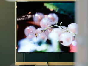 Is an OLED TV Worth the Premium Price?