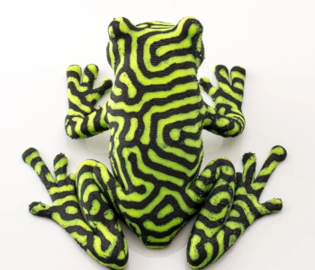 2-Color Tree Frog