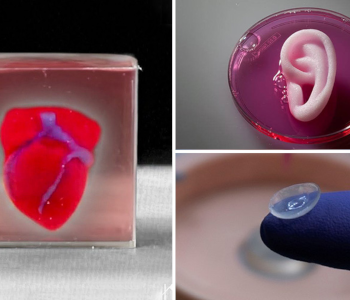 bioprinting