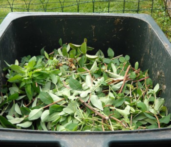 compost