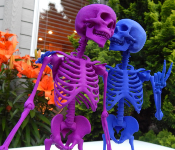 Articulated skeleton