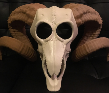 Ram skull