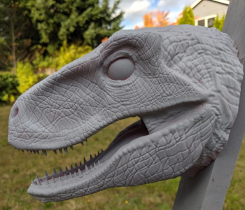 Velociraptor Head